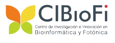 Logo – Forschungs- und Innovationszentrum für Bioinformatik und Photonik – CIBioFi