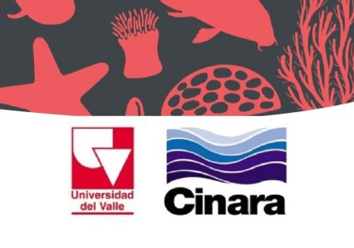 Image for: COLDEMAR-CINARA-Ausschreibung für Diplomanden: Studierende des Bachelor-Studiengangs Sanitär- und Umweltingenieurwesen (ISA) an der Univalle