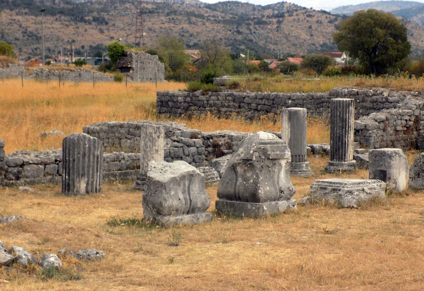 Several weathered Roman columns still standing among the ruins of the ancient city of Doclea in a grassy field.