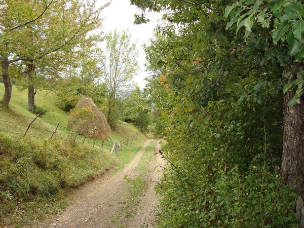 Wiejska polna droga wijąca się przez bujną zieloną wieś w Czarnogórze, z tradycyjnym stogiem siana spoczywającym na zboczu wzgórza