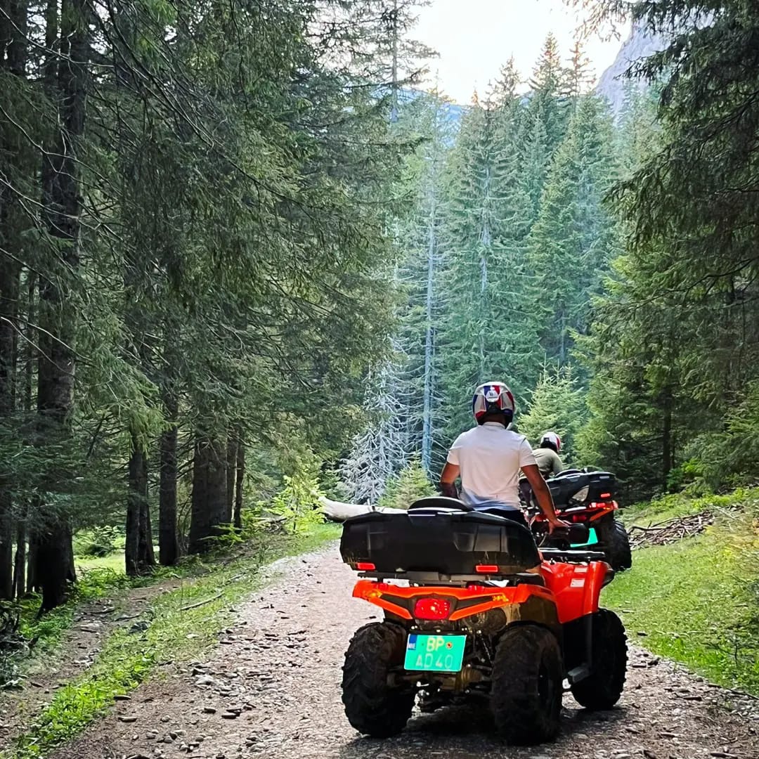 Osoba jadąca czerwonym quadem ATV po polnej drodze przez gęsty las sosnowy w górach niedaleko Kolašina.
