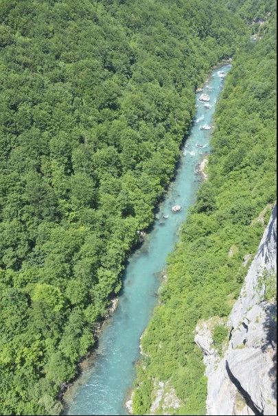 Looking down from the Đurđevića Tara Bridge at the turquoise Tara River flowing through the bottom of the canyon.