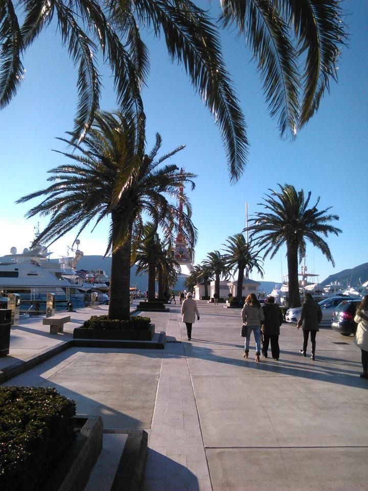 People strolling along the palm-lined waterfront promenade at Porto Montenegro, with large yachts docked nearby.