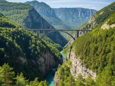 The Đurđevića Tara Bridge crossing the deep Tara River Canyon, surrounded by green forests and mountains in Durmitor National Park.