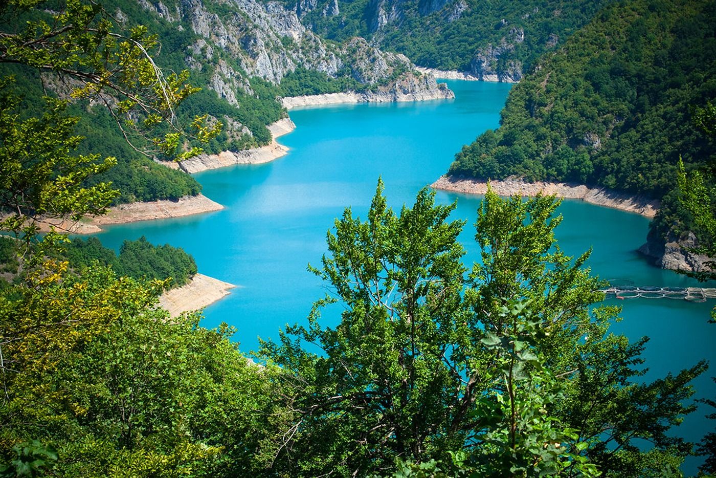 The fjord-like Piva Lake seen through a frame of lush green trees on a sunny day.