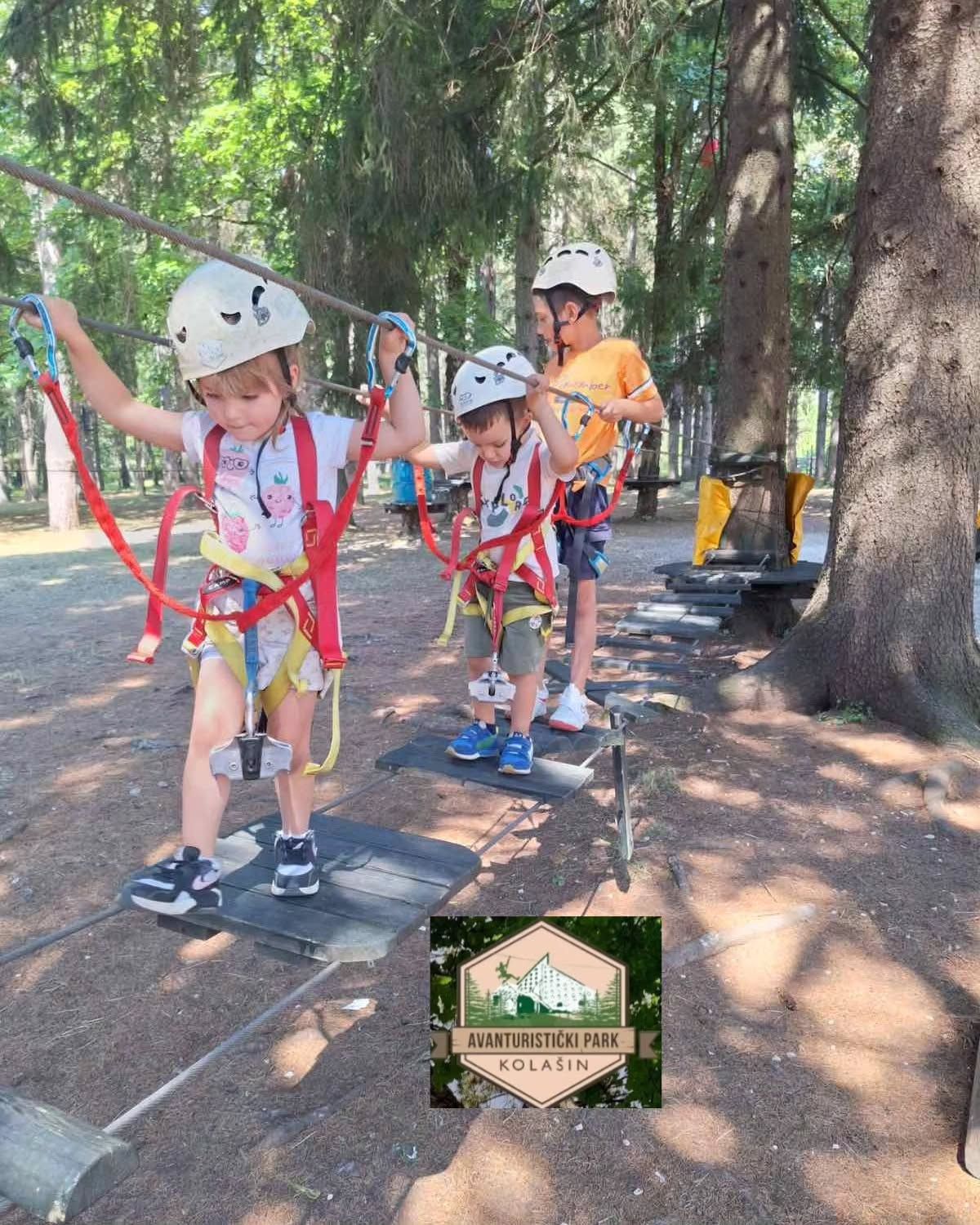 Troje małych dzieci w kaskach ochronnych i uprzężach ostrożnie przechodzących przez niski park linowy dla dzieci w słonecznym lesie.