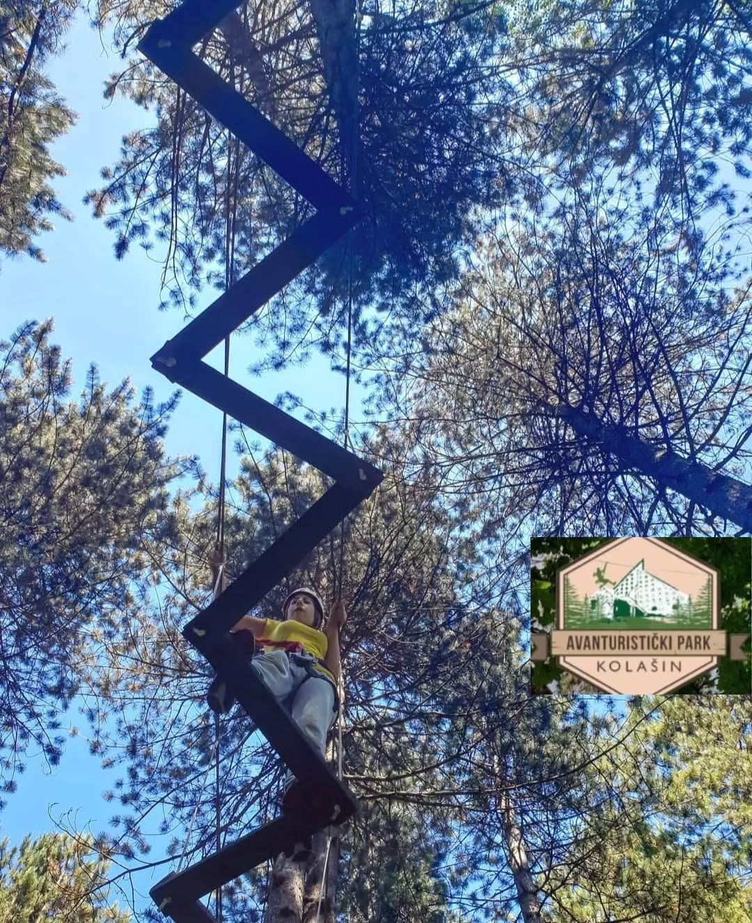 Widok z dołu na osobę pokonującą trudną, zygzakowatą przeszkodę z drewnianej drabiny zawieszoną między wysokimi sosnami na tle błękitnego nieba.