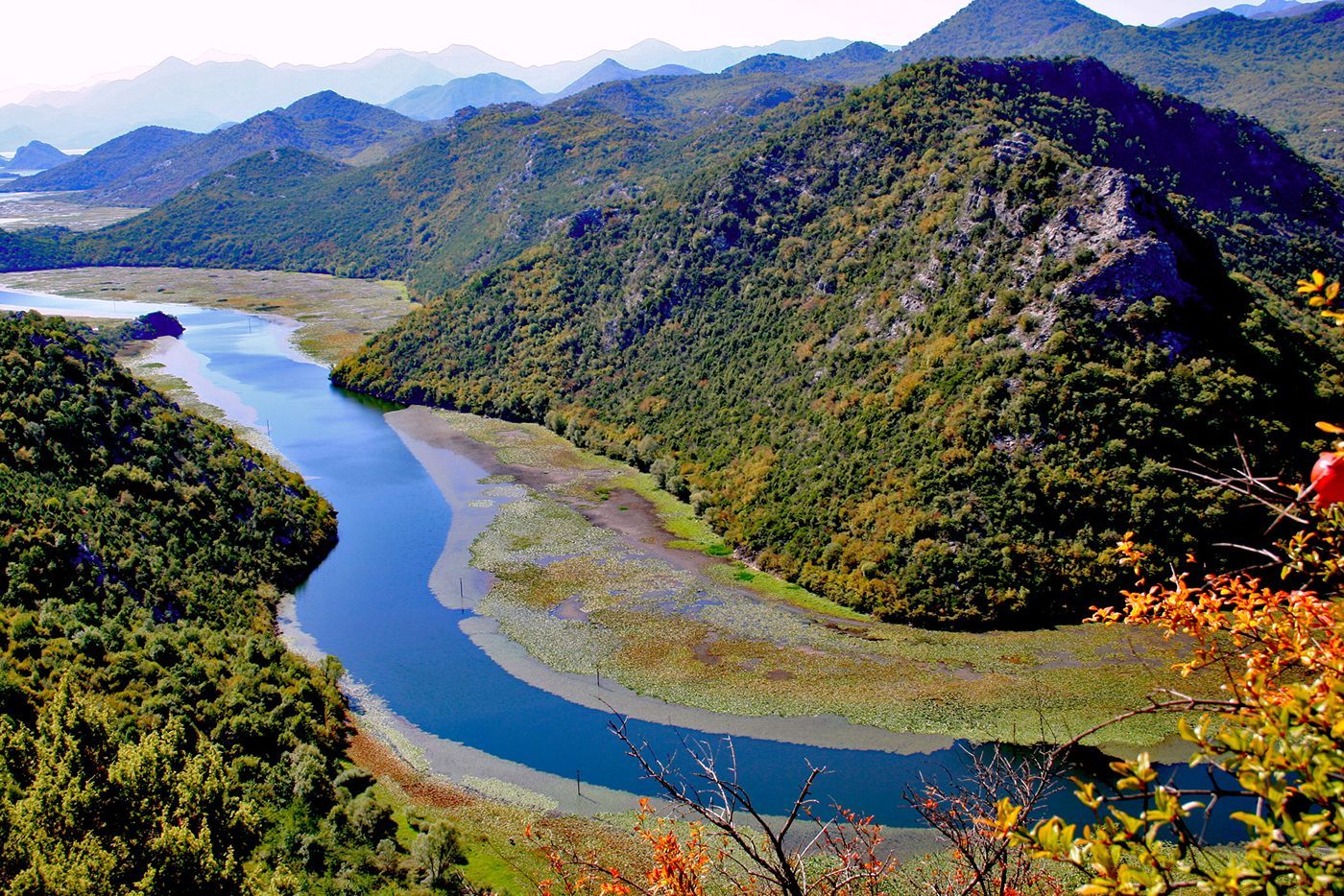 A vibrant view of the curving Rijeka Crnojevića at Skadar Lake, surrounded by lush, rolling hills.