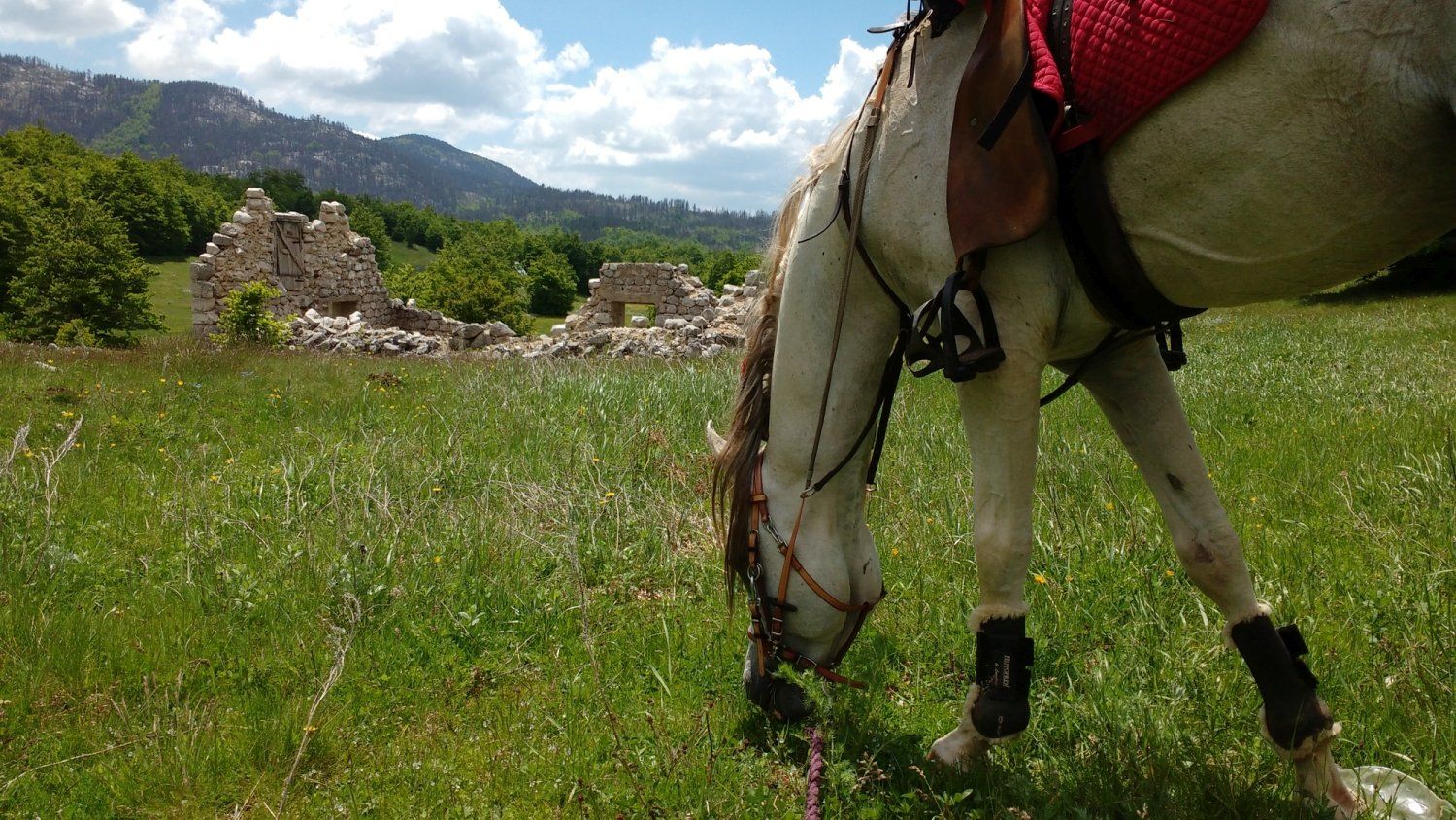 一匹备有马鞍的白马在生机勃勃的绿色草地上安详地吃草，背景是一座古老的石头建筑废墟。