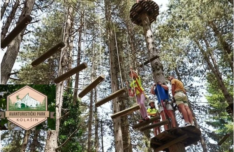 Parcours d'accrobranche dans la forêt