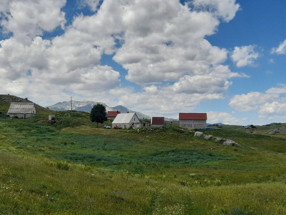 A scenic view of a traditional Montenegrin katun (summer pasture settlement) with stone houses scattered across a green mountain meadow under a sky with fluffy clouds.