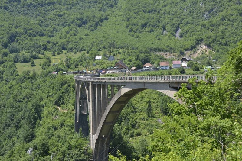 The grand concrete arches of the Đurđevića Tara Bridge spanning the deep, forest-covered Tara River Canyon.