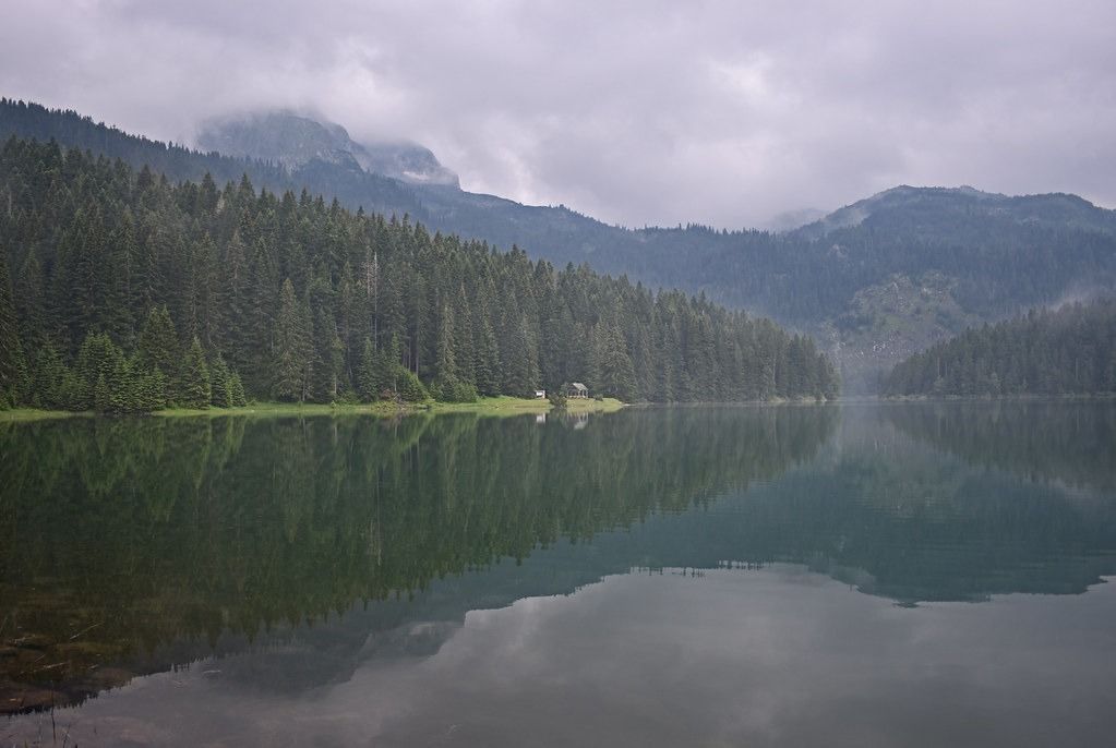 A calm glacial lake in Durmitor National Park reflecting the dense pine forest and misty mountains on a cloudy day.