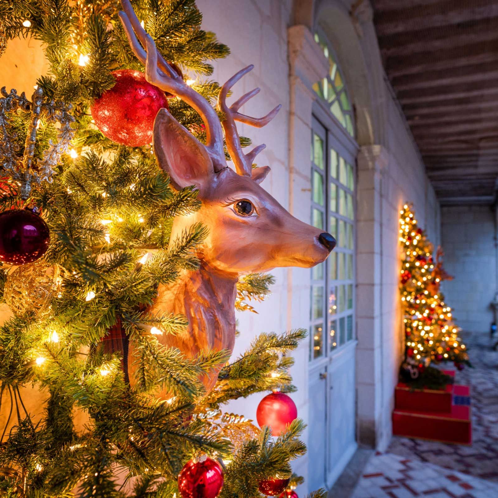 Château et jardins de Villandry - A Noël, la nature s’invite au château