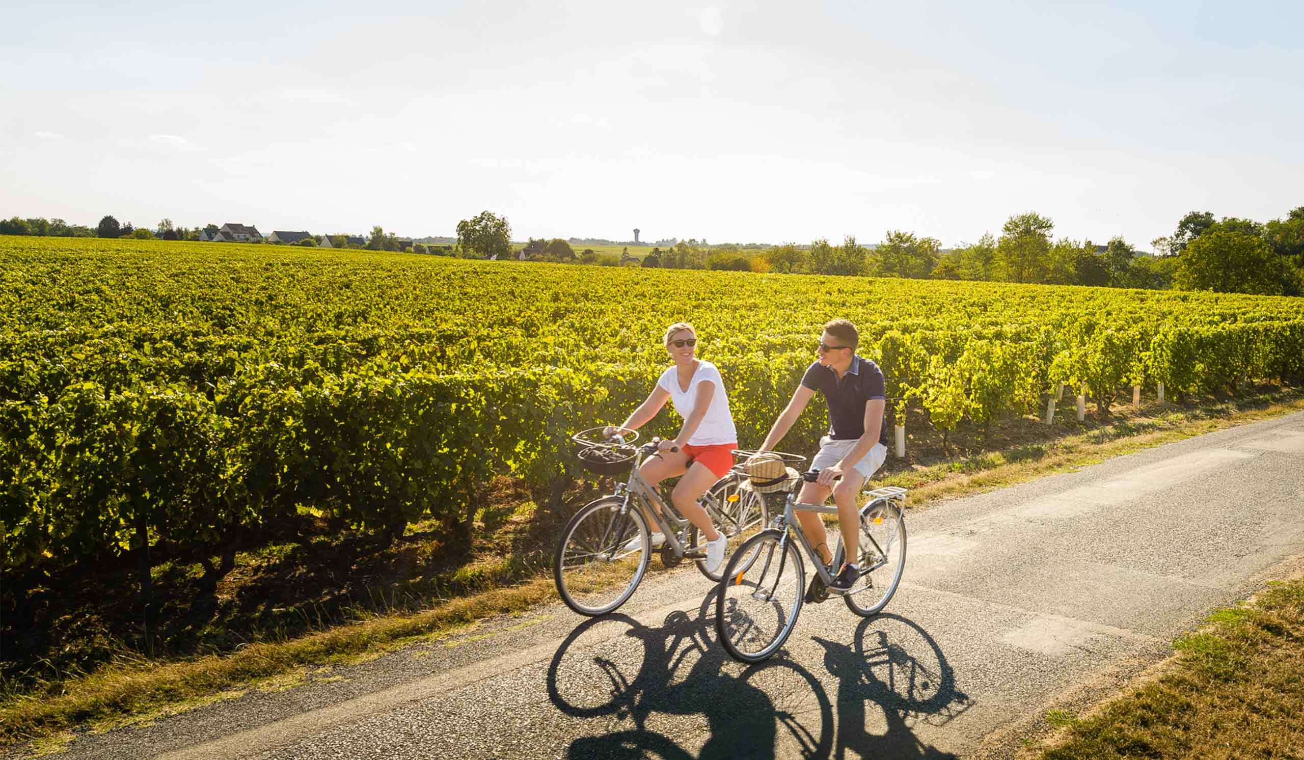 Deux personnes à vélo dans le vignoble de Vouvray