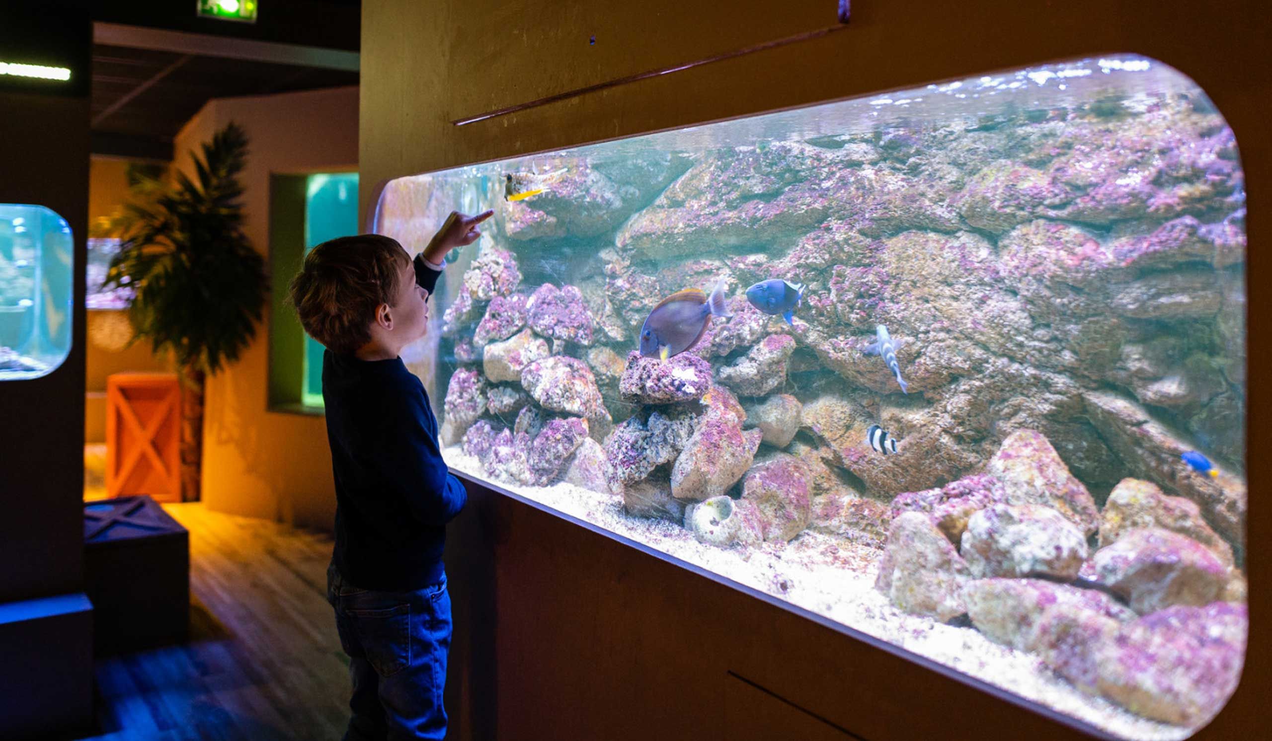 Aquarium de Touraine - ©JC Coutand ADT Touraine