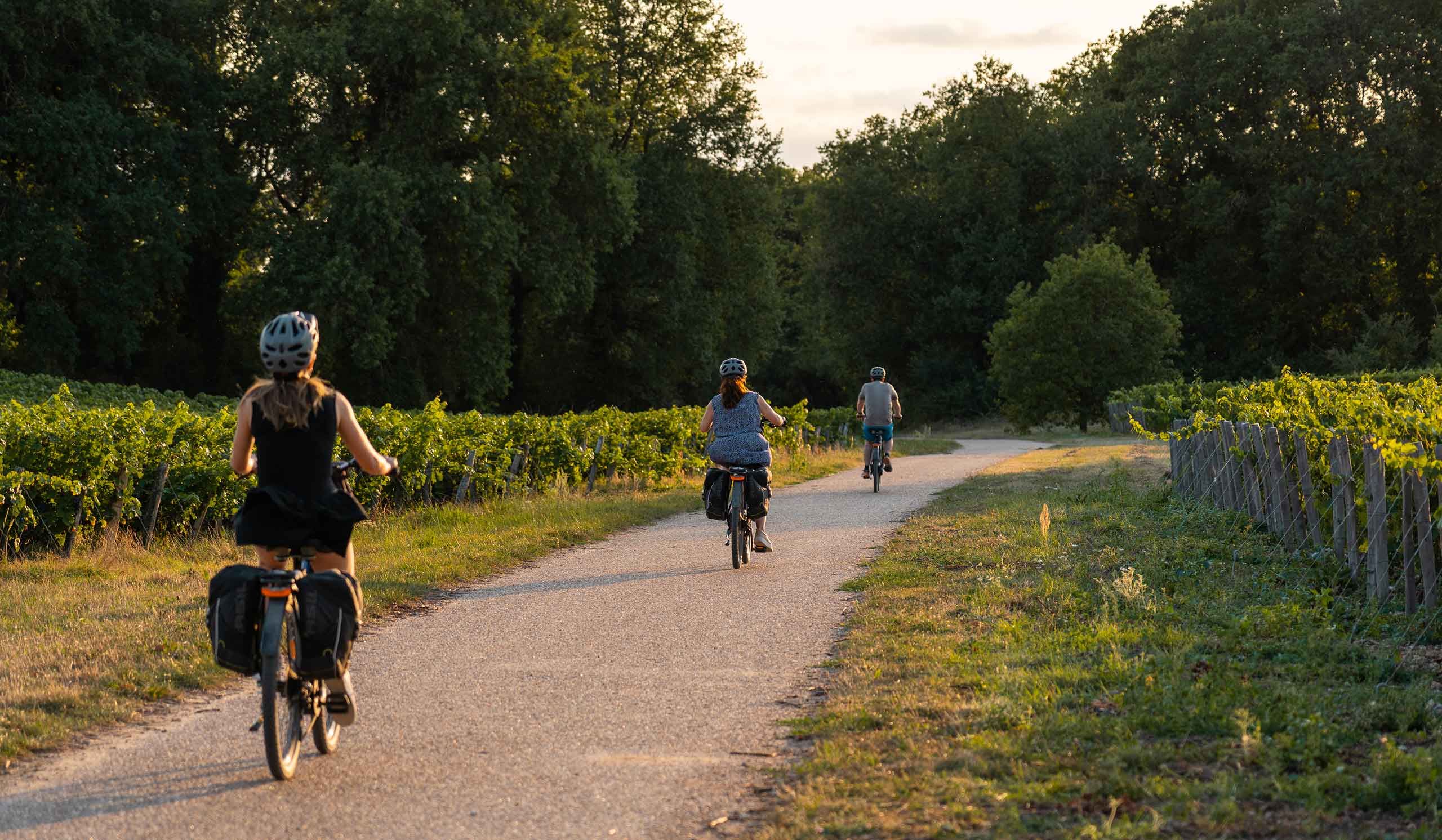 Balade à vélo dans les vignobles de Montlouis