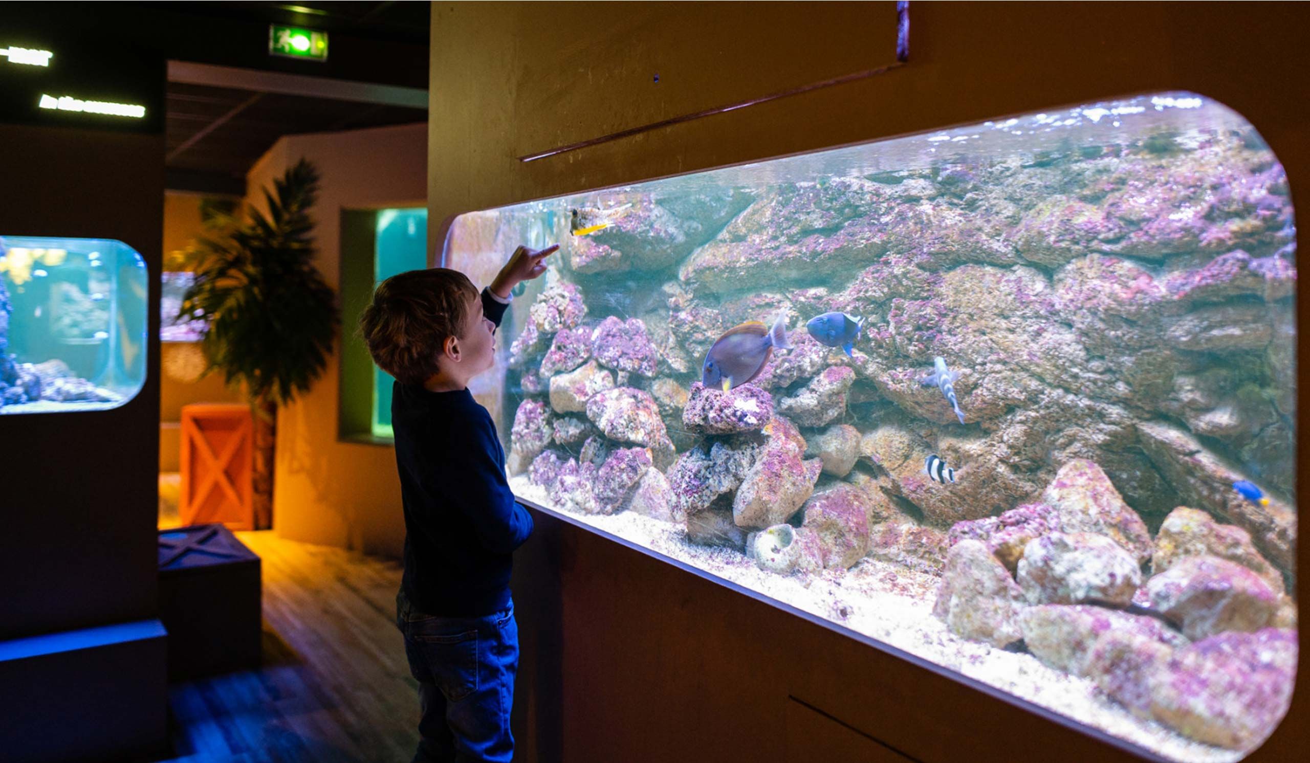 Grand Aquarium de Touraine