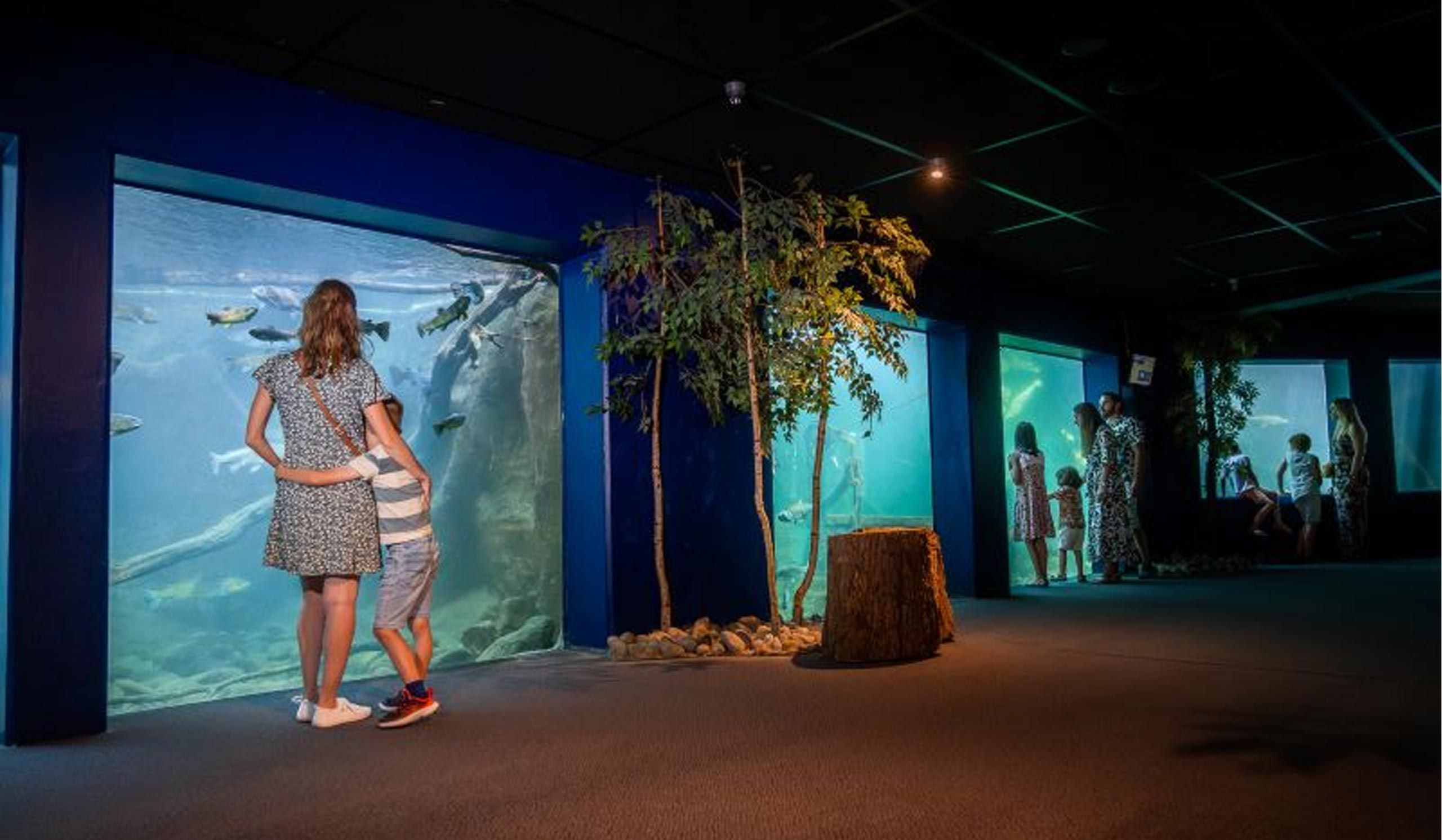 Famille au Grand Aquarium de Touraine
