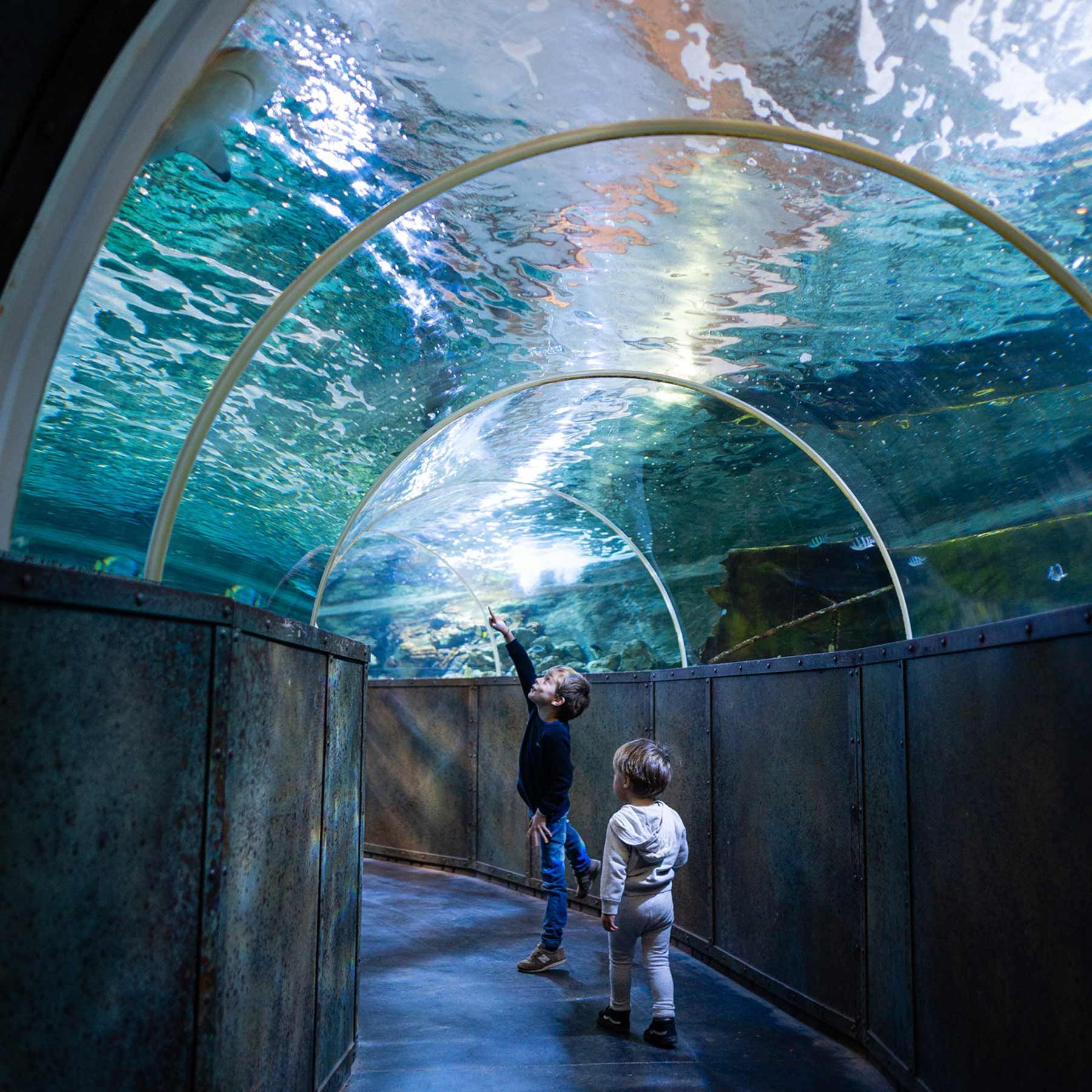 Aquarium de Touraine