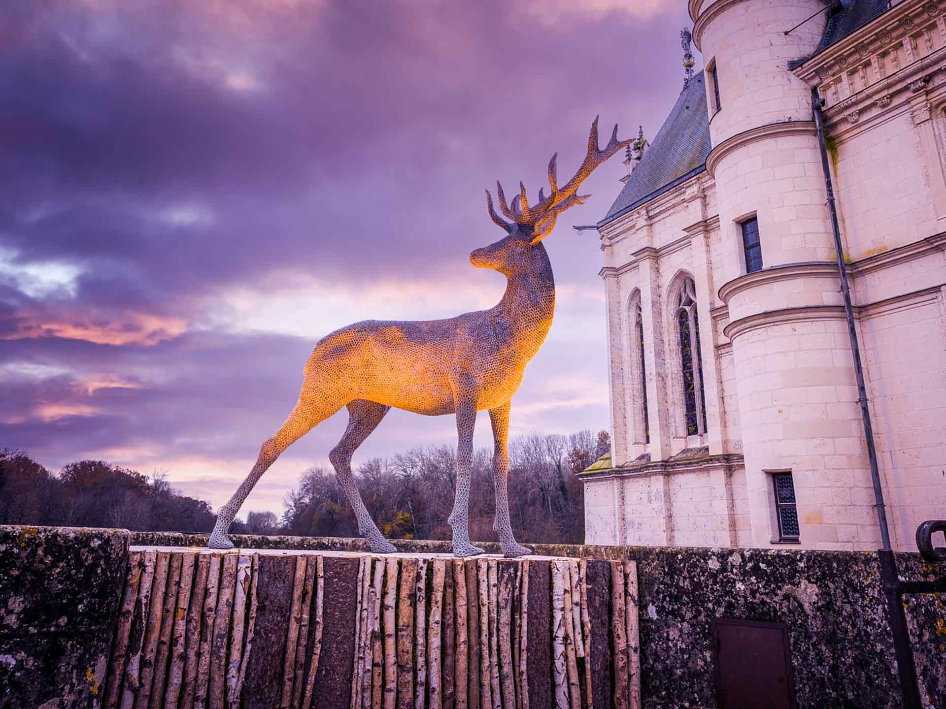 Noel au chateau - nocturne