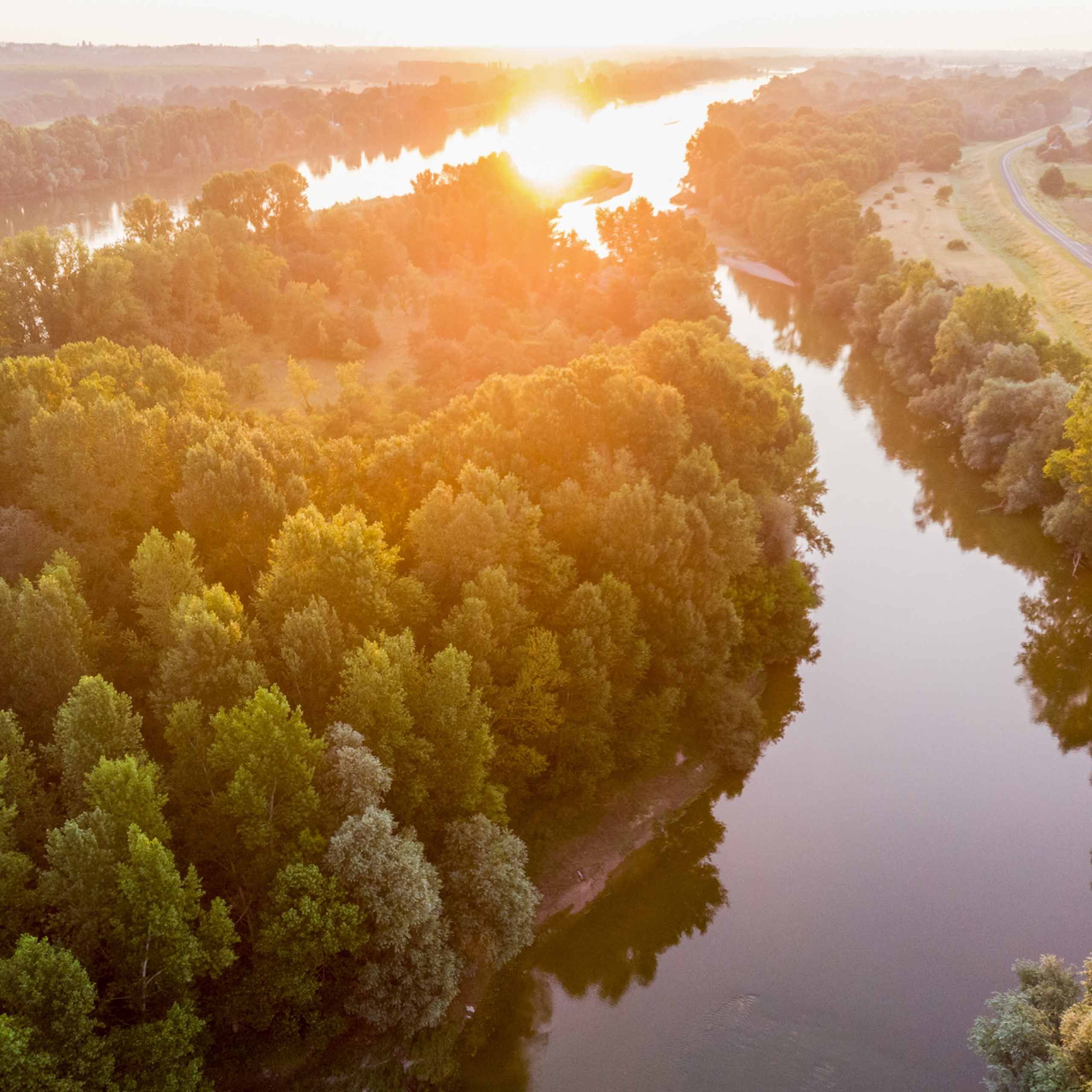 La confluence entre la Loire et le Cher