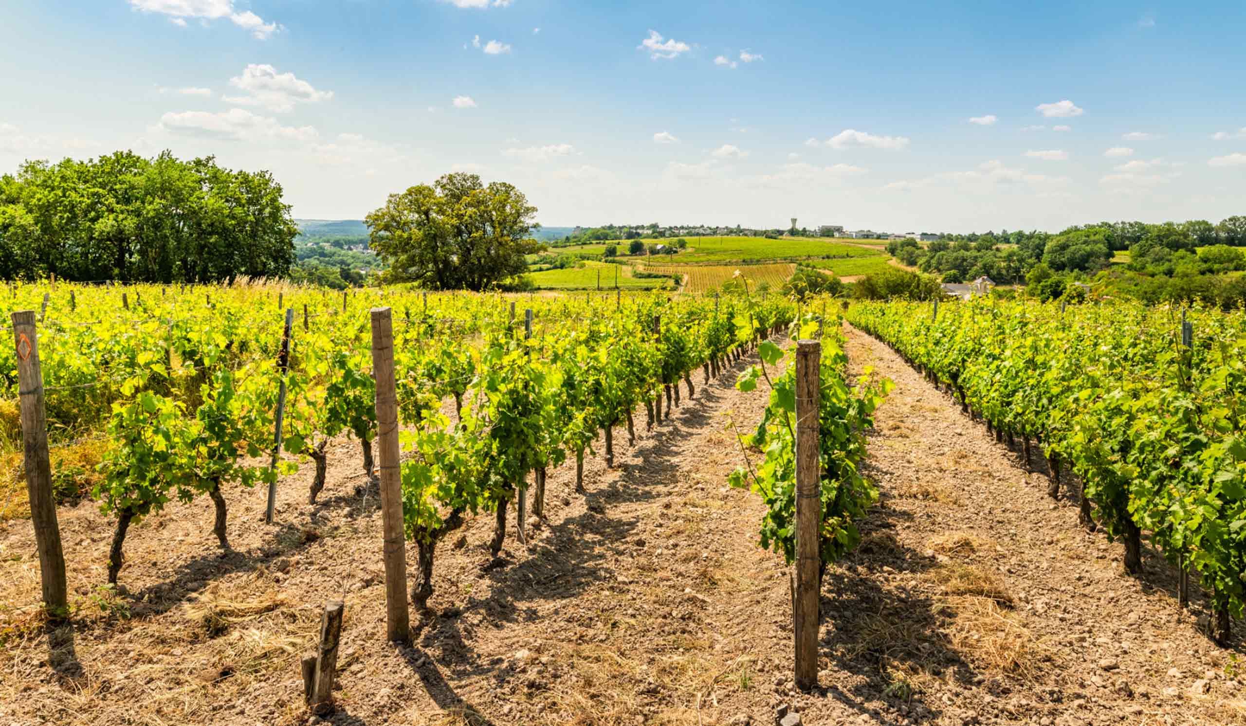 A Tours on déguste à tout bout de champ