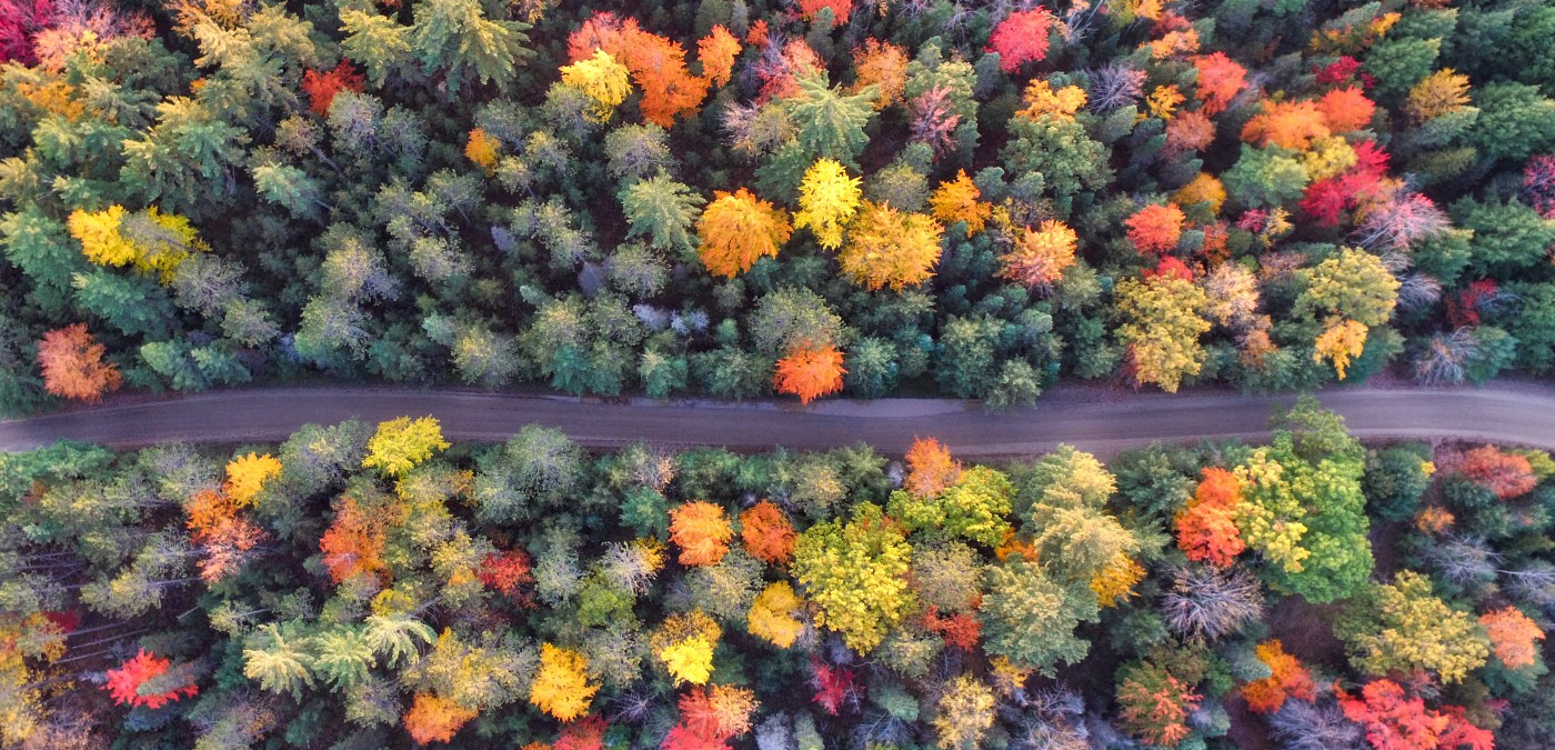 “A drone view of the trees changing colors during Autumn in Grayling, Michigan, United States” by Aaron Burden on Unsplash