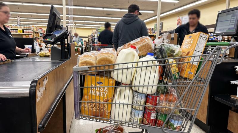A grocery cart filled with modest store-brand groceries in a checkout lane