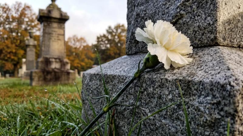 A single white carnation resting against a granite headstone