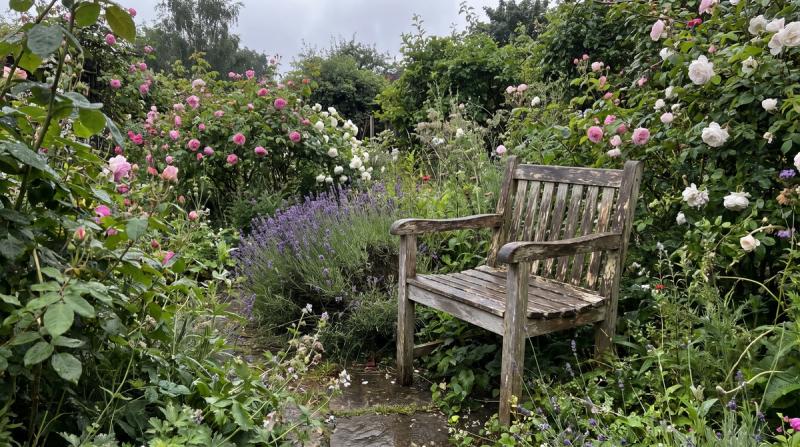 A weathered wooden chair sitting empty among overgrown cottage garden flowers in soft light