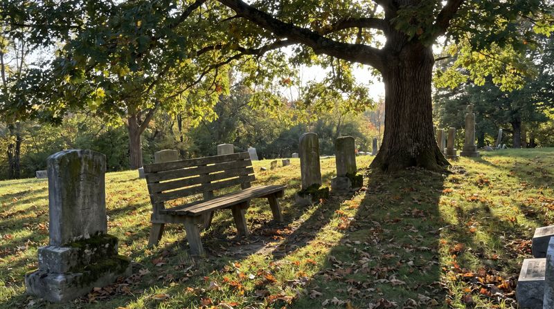A small wooden bench beneath a tree in a peaceful cemetery
