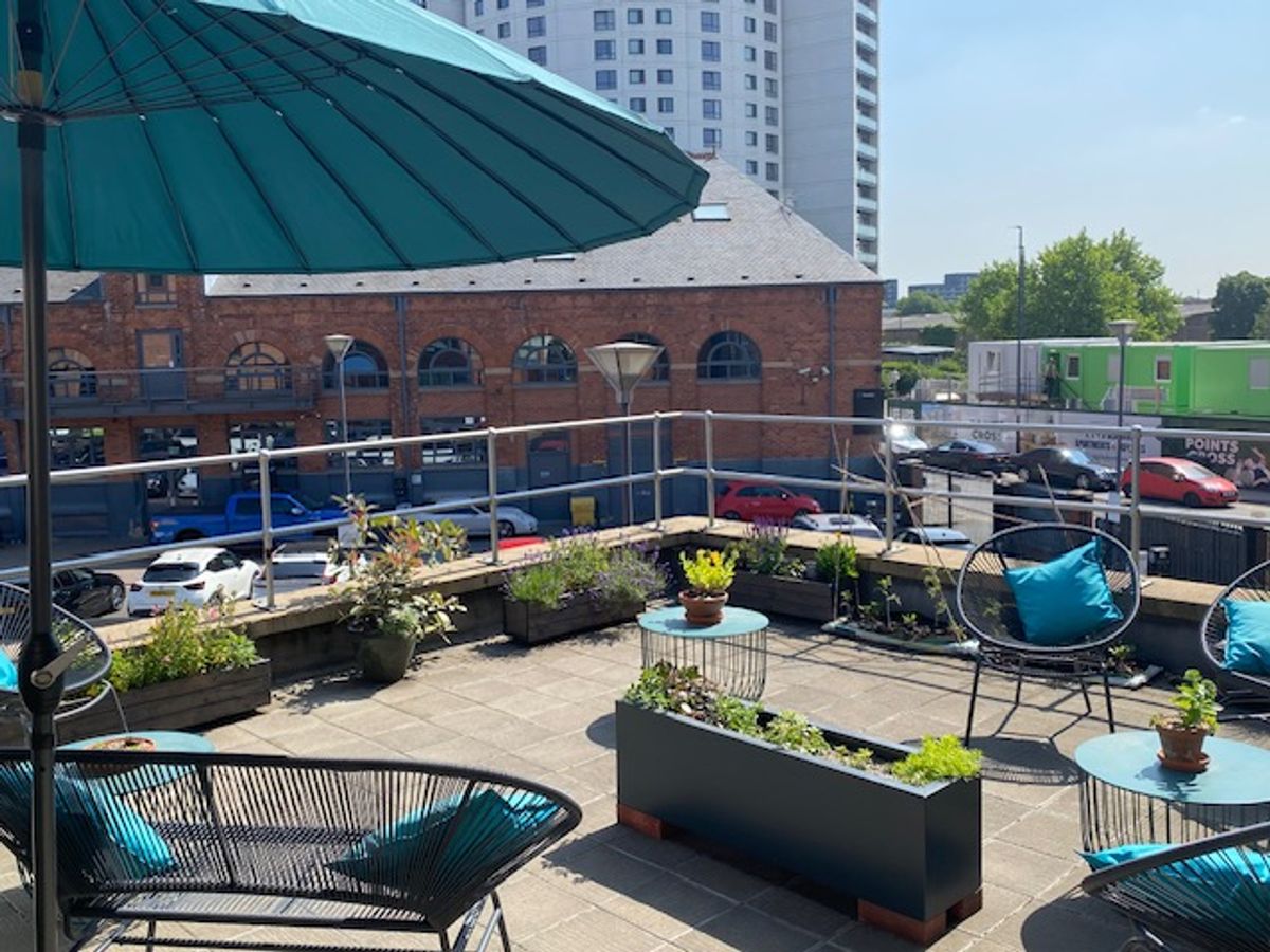 Garden with plants and chairs next to office building