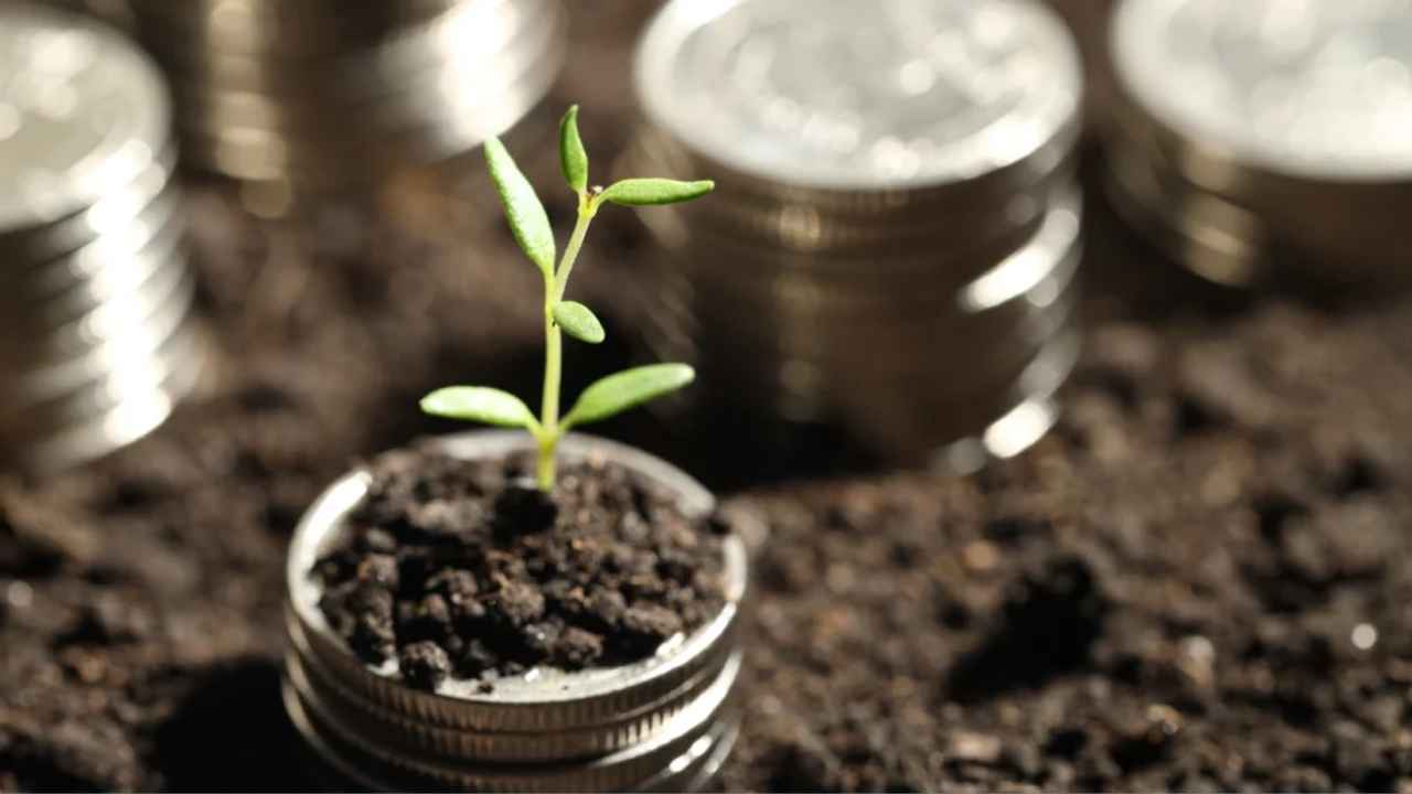 Lead image published by Corporate Maldives with its report on August 2026 economic activity