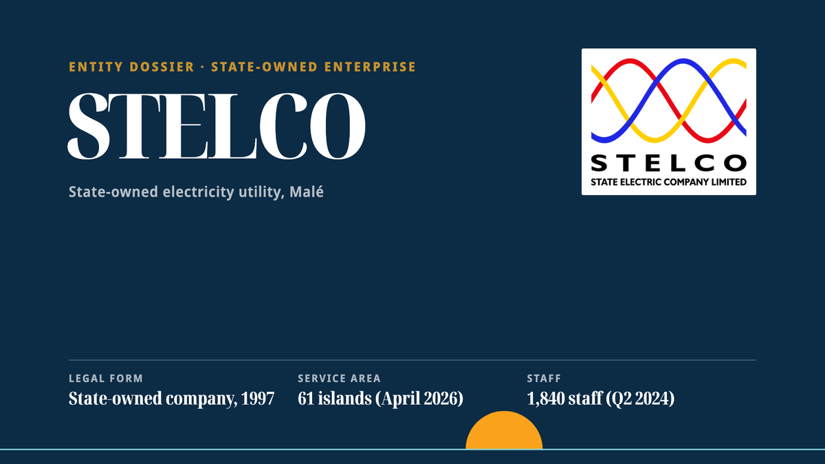 Our dossier header for STELCO: name, role line, logo and key facts.