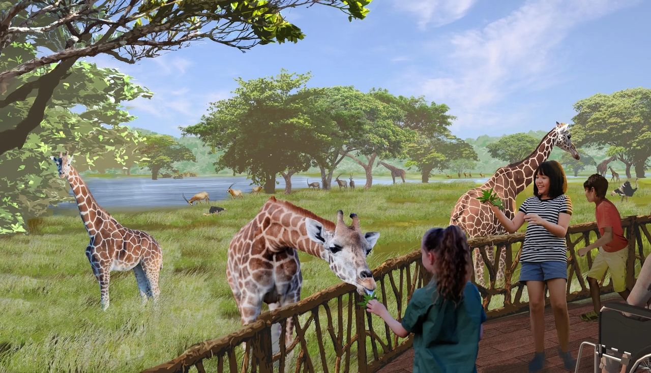 Wild Care Park — Giraffe feeding overlooking Savanna Safari at Saint Louis Zoo WildCare created by PGAV
