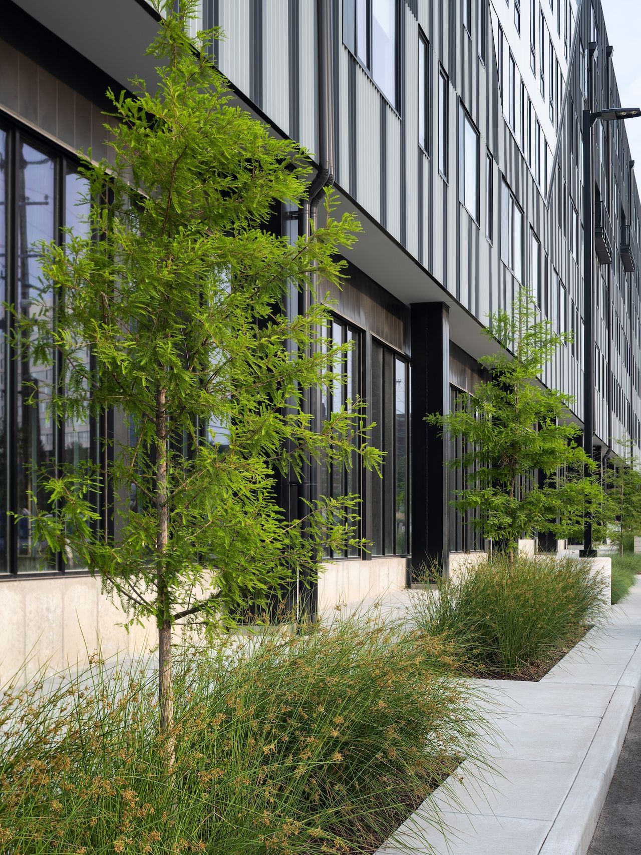 Steelcote Flats — St Louis Stormwater Silva Cells