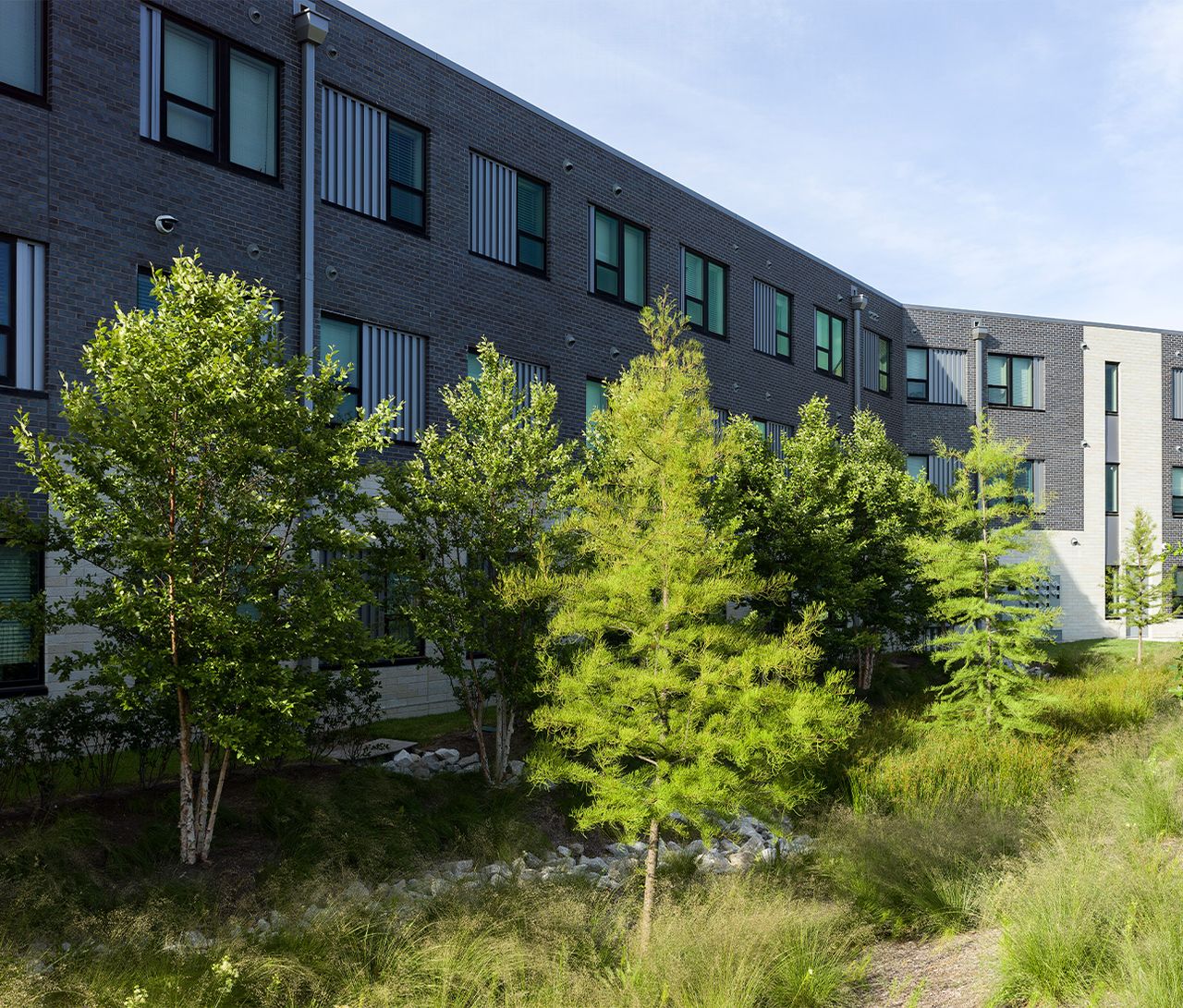 Doorways — Saint louis missouri rain garden