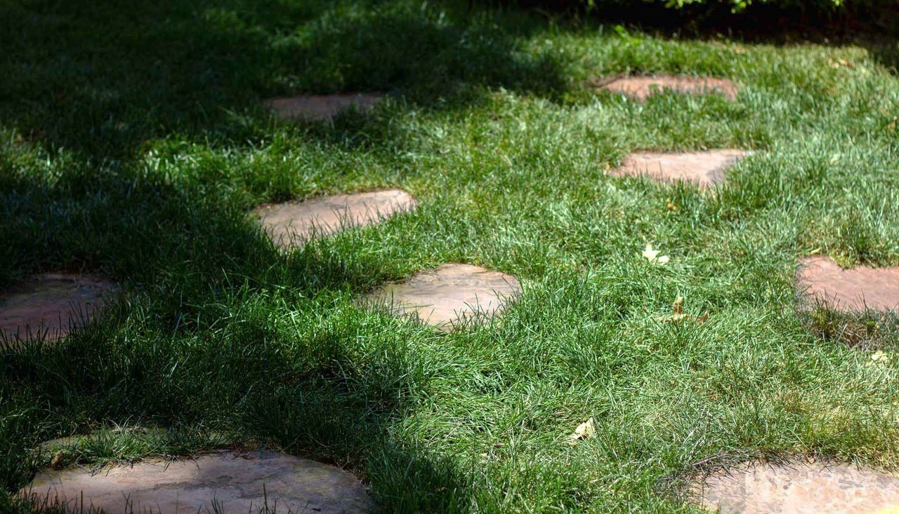 Detail photo of pavers hidden pathway in grass at strauss park grand center st louis missouri