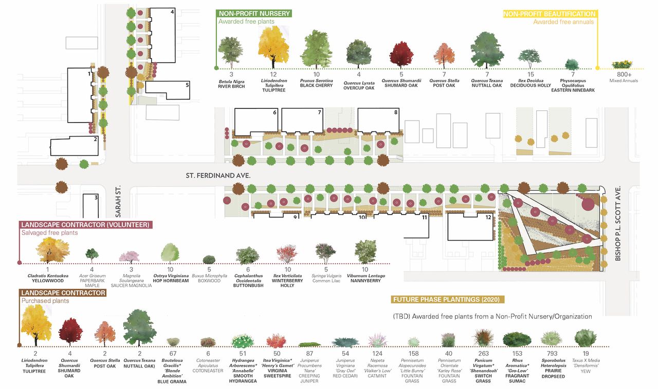 Illustration of planting plan for st. Ferdinand park triangle park by Arbolope studio of St. Louis Missouri.