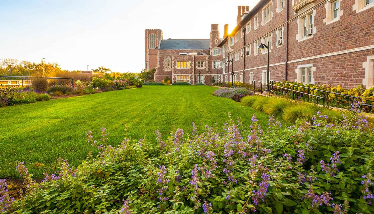 Greenspace courtyard with purple flowers on the exterior of Mcmillen Hall Throop Addition at Washington University Saint Louis Mo