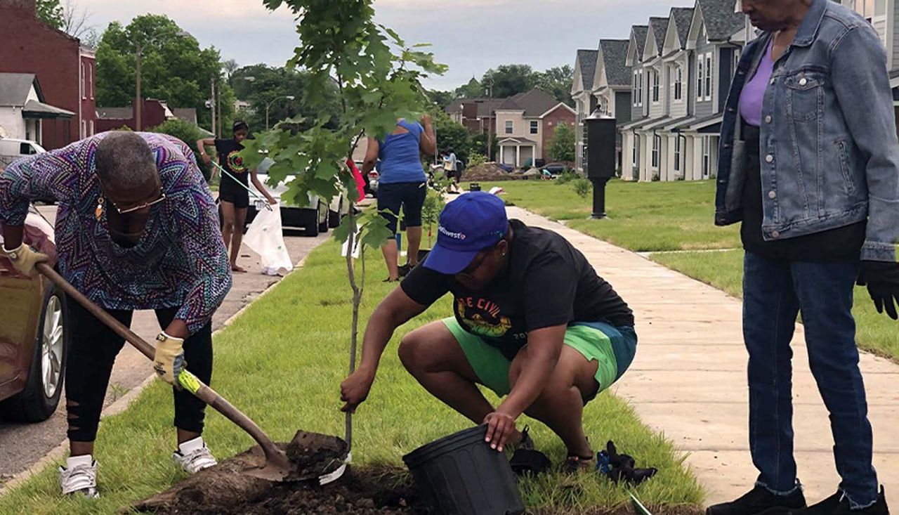 People are prepping and digging a new hole for a tree to be planted between the sidewalk and roadway in st louis missouri. Vacant lots toolkit arbolope studio.