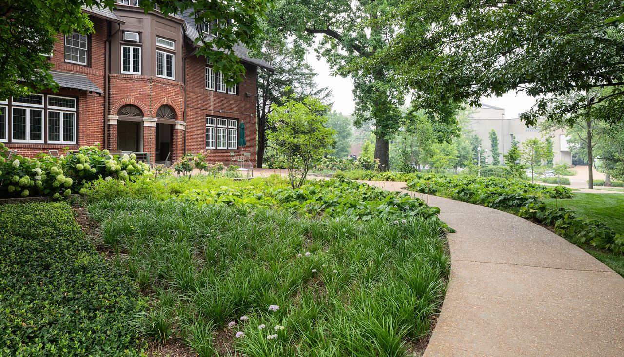 Pathway leading up to the international affairs building at the stix house in st louis missouri, landscaping redesigned by arbolope studio.