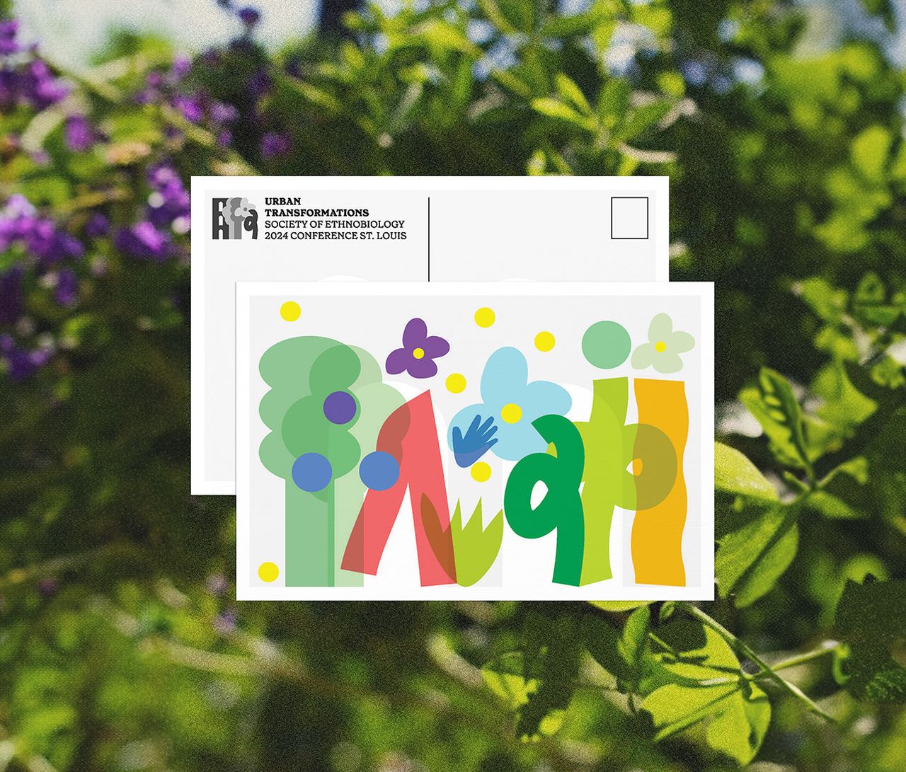 Post cards for the society of ethnobiology conference designed by arbolope studio