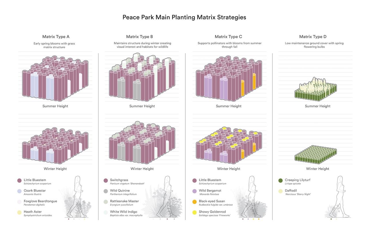 Peace Park Main Planting Matrix Strategies