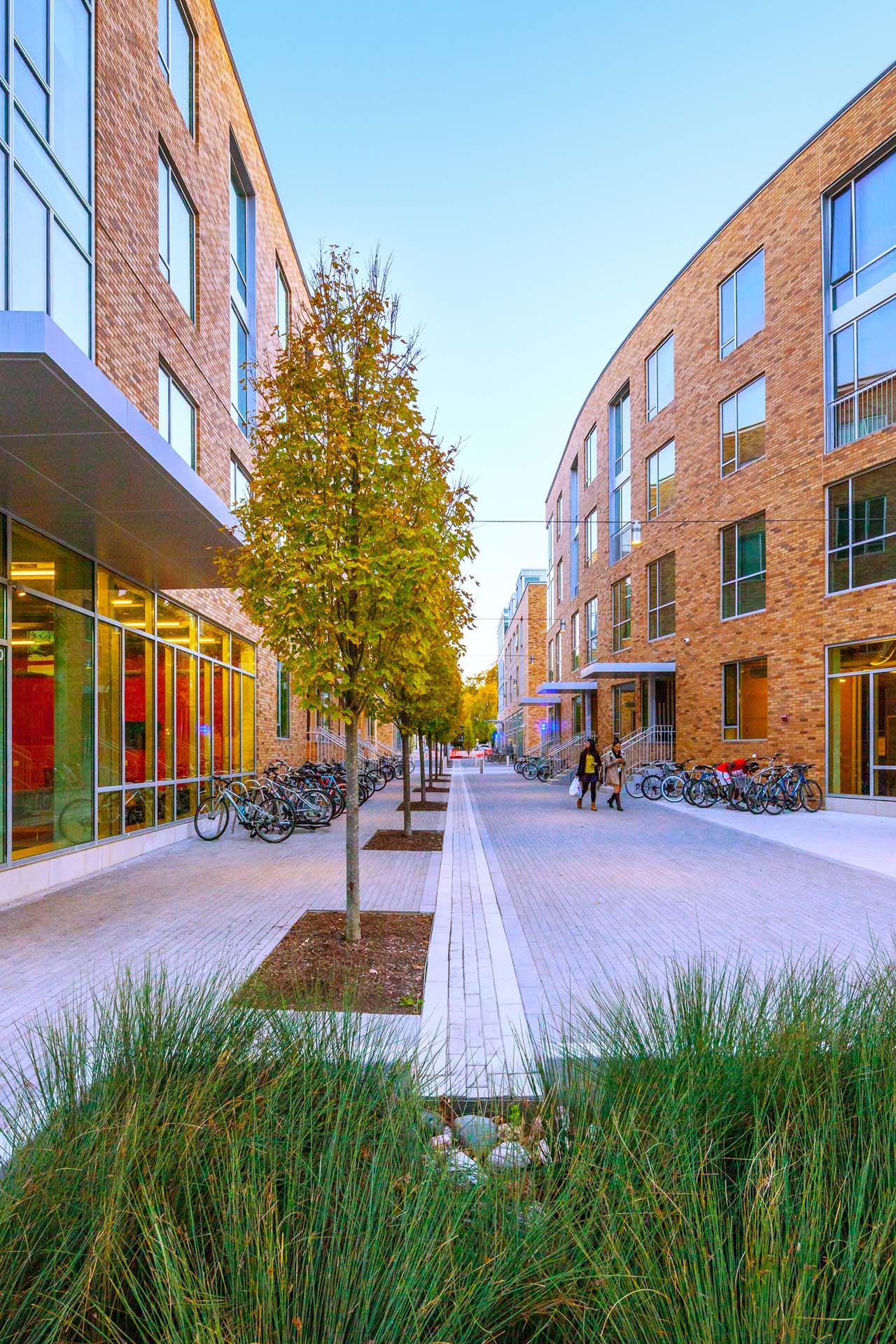 Detail photograph of cobblestone pedestrian pathways that surround rain gardens and planting beds on the exterior of the lofts at washington university saint louis mo by Arbolope studio