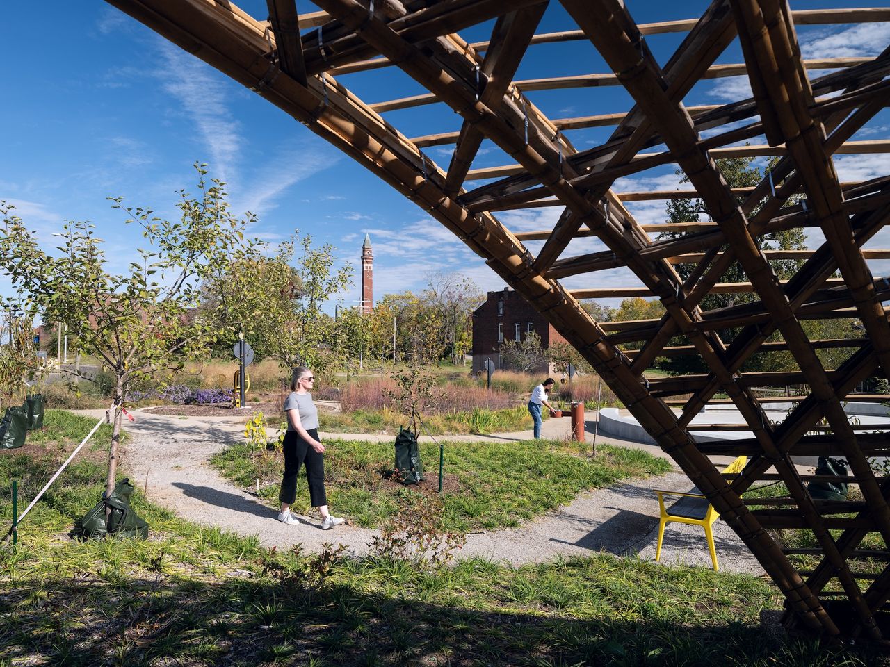Peace Park — Native plantings