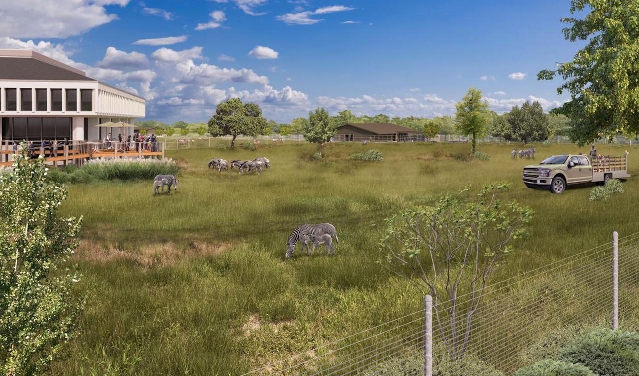 Wild Care Park