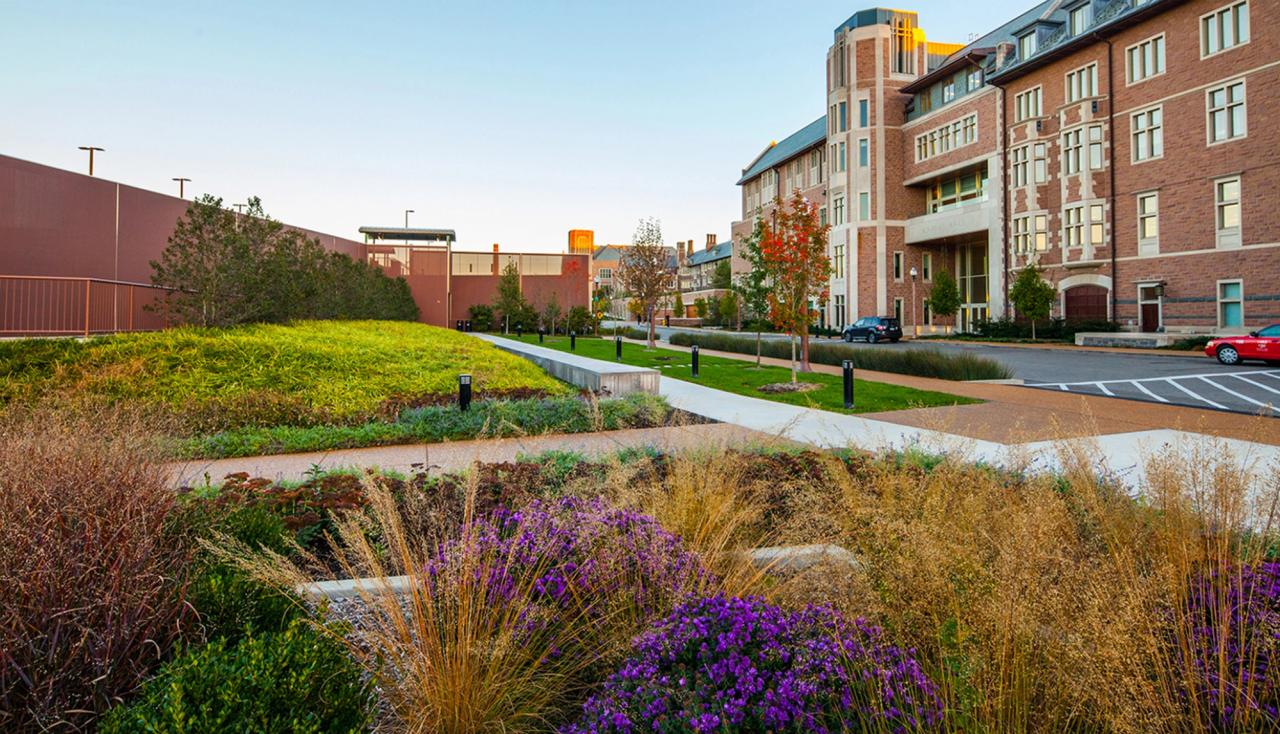 The Knight Hall Welcome Court at Washington University in St. Louis. designed by Arbolope Studio