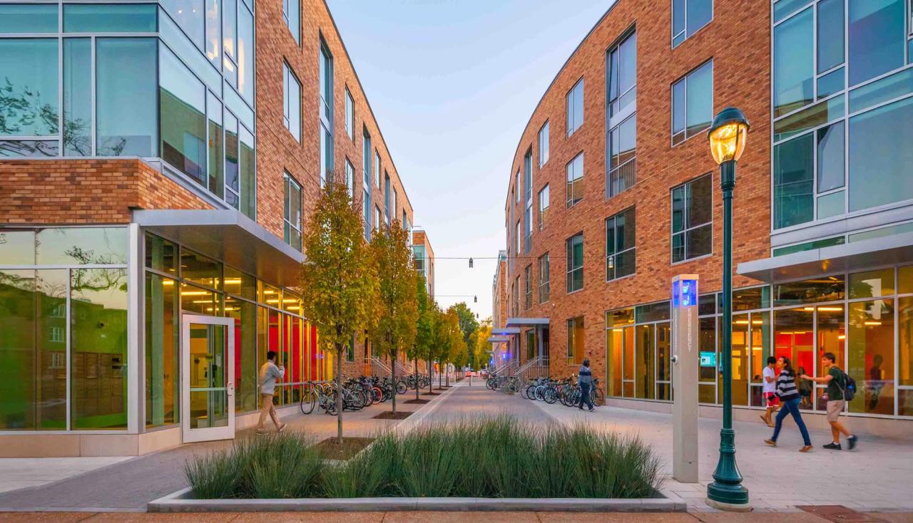 Photograph of rain garden and pedestrian pathways on the exterior of the lofts at washington university saint louis mo by Arbolope studio